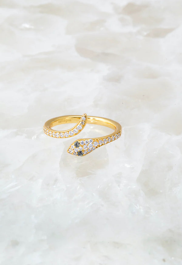 Snake Charmer Ring - Romantiques