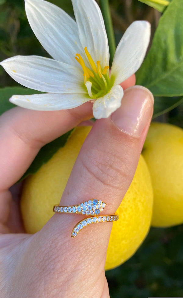 Snake Charmer Ring - Romantiques