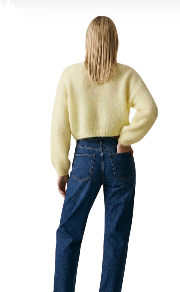 American Dreams Cornelia Cropped Cardigan in Light Yellow - Romantiques