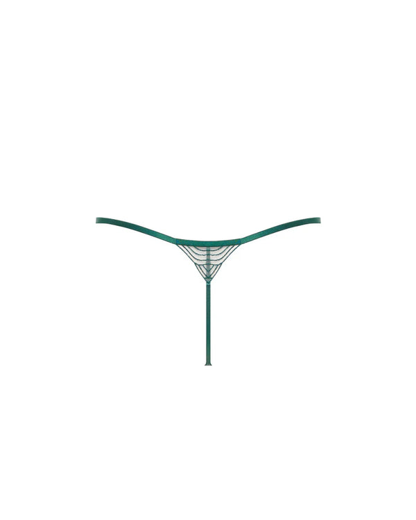 Aster Thong